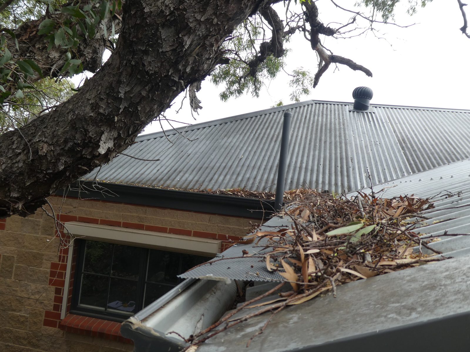 Leaf-blocked gutters on a corrugated roof at Greenwith