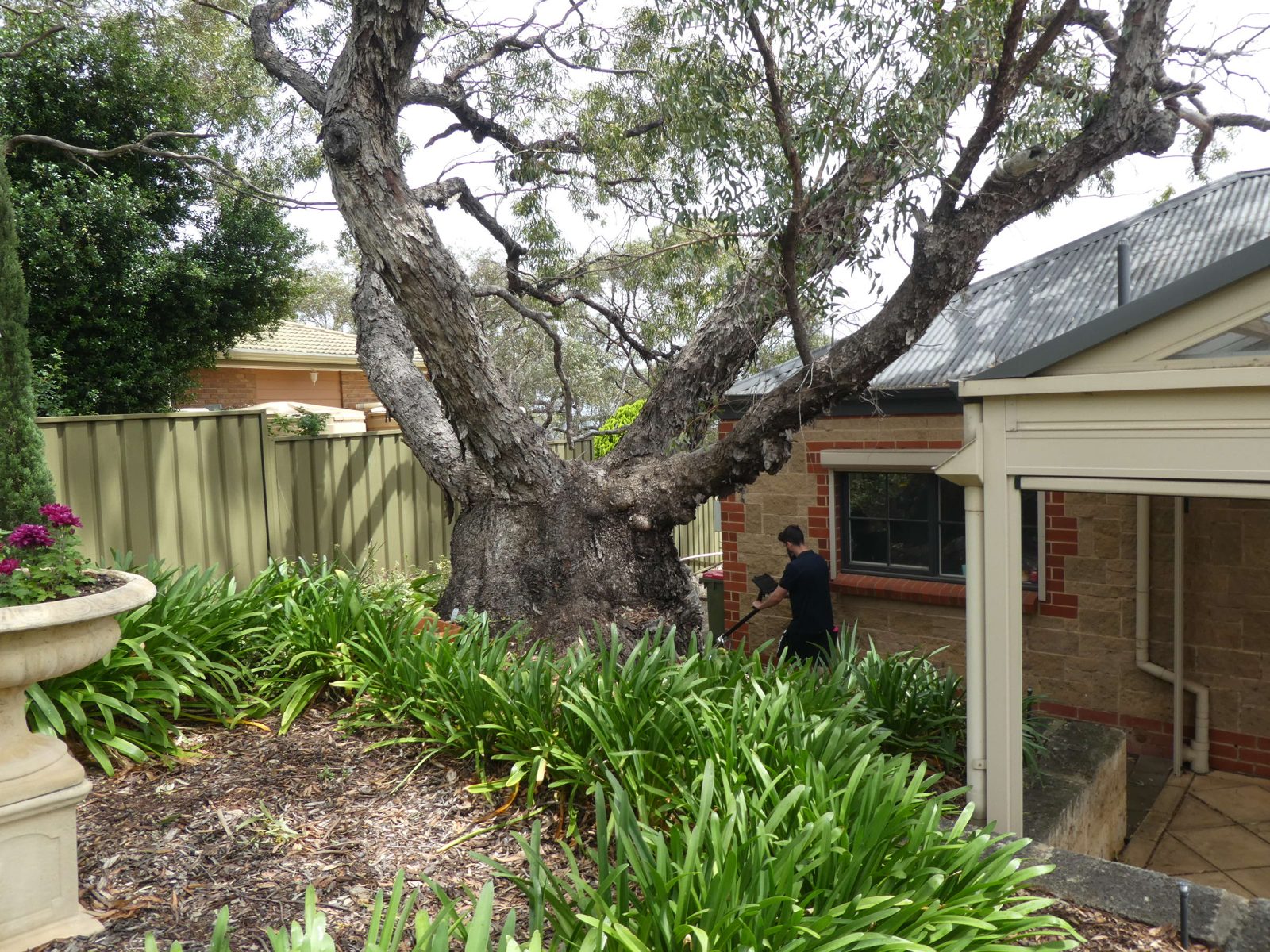 Ground penetrating radar scan beside a large tree and window at Greenwith